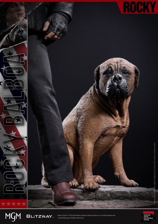 240408_Rocky1_Image_27-1.jpg